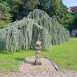 Auszeit Wunschblick *