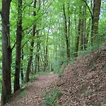 Auszeit Wunschblick * Weisenbach
