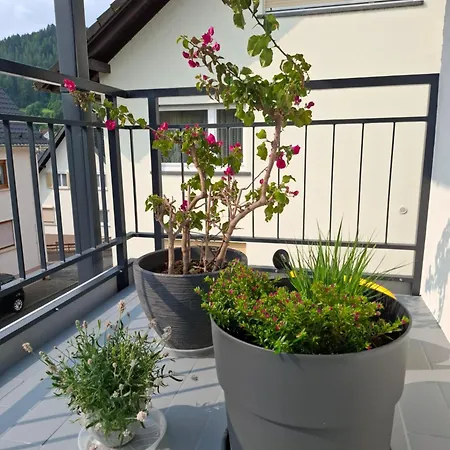 Auszeit Wunschblick شقة *