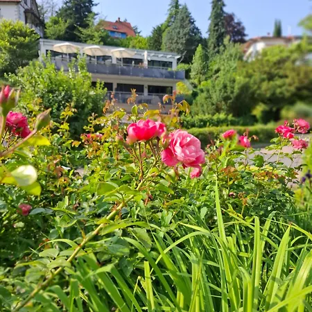 Auszeit Wunschblick