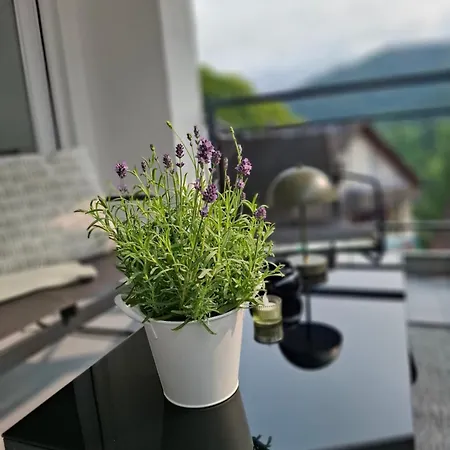 Apartamento Auszeit Wunschblick Weisenbach