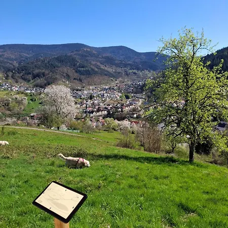 شقة Auszeit Wunschblick