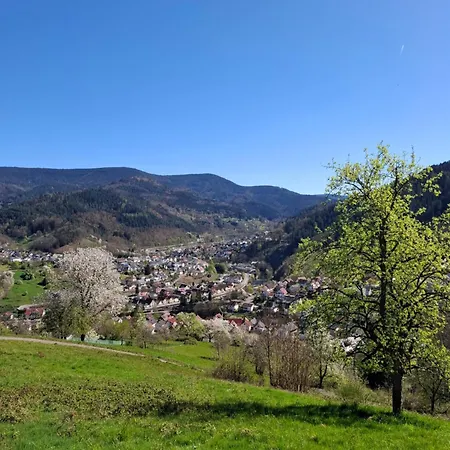 Auszeit Wunschblick شقة *