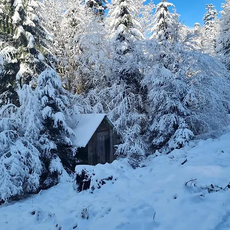 Apartamento Auszeit Wunschblick
