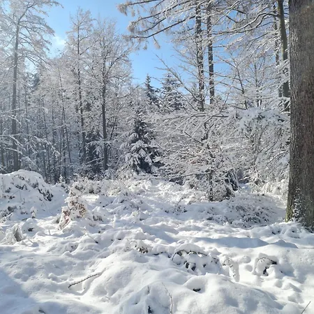 Auszeit Wunschblick Weisenbach