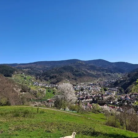 Auszeit Wunschblick Apartamento Weisenbach