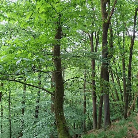 Auszeit Wunschblick شقة *