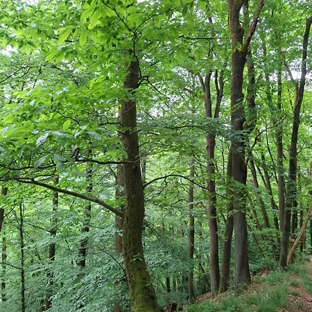 Auszeit Wunschblick Apartment *