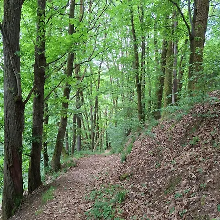 Auszeit Wunschblick * فايزينباخ