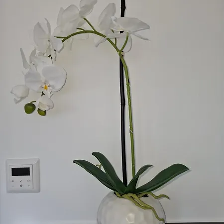 Apartamento Auszeit Wunschblick Weisenbach