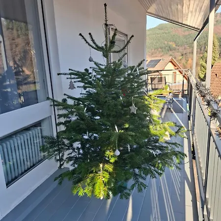 Auszeit Wunschblick Apartamento