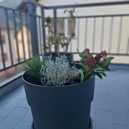 Auszeit Wunschblick Apartment *