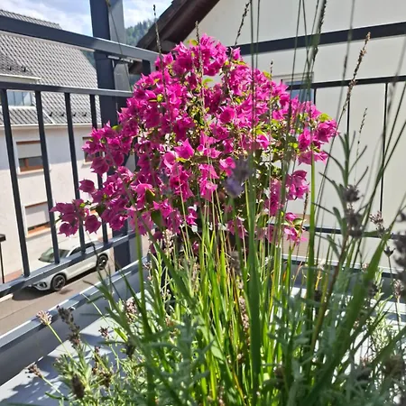 Auszeit Wunschblick Apartment Weisenbach