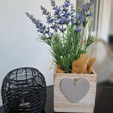 Auszeit Wunschblick Apartment Weisenbach