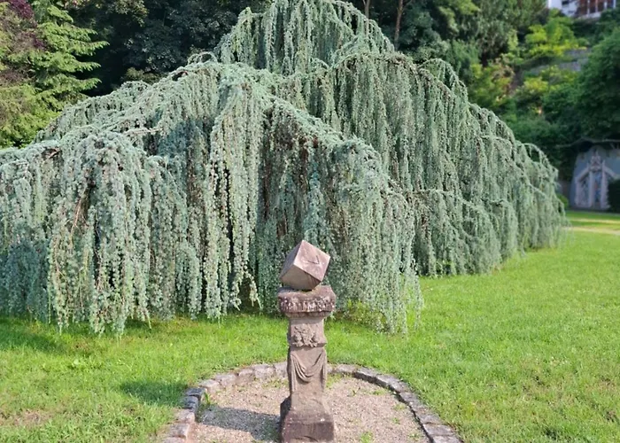 Auszeit Wunschblick *