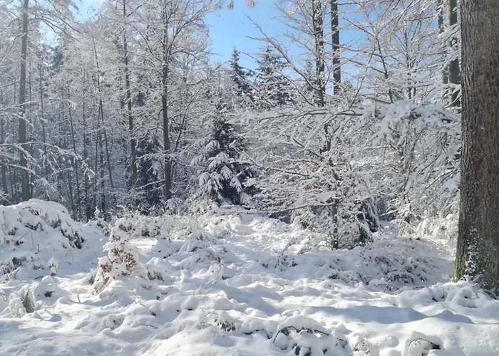 Auszeit Wunschblick Weisenbach