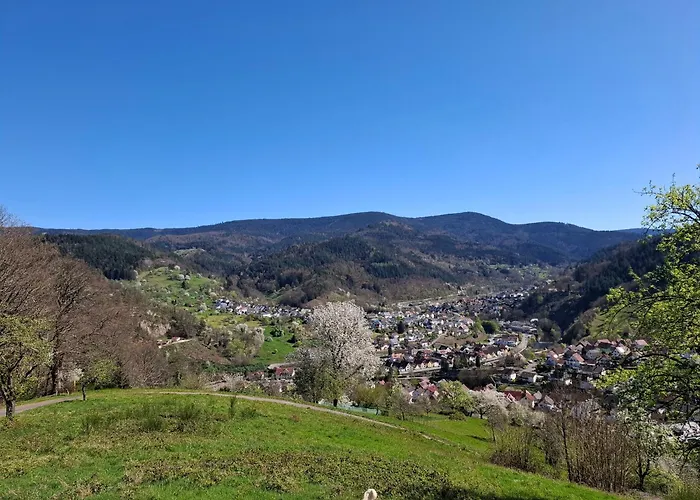 Auszeit Wunschblick Διαμέρισμα Weisenbach