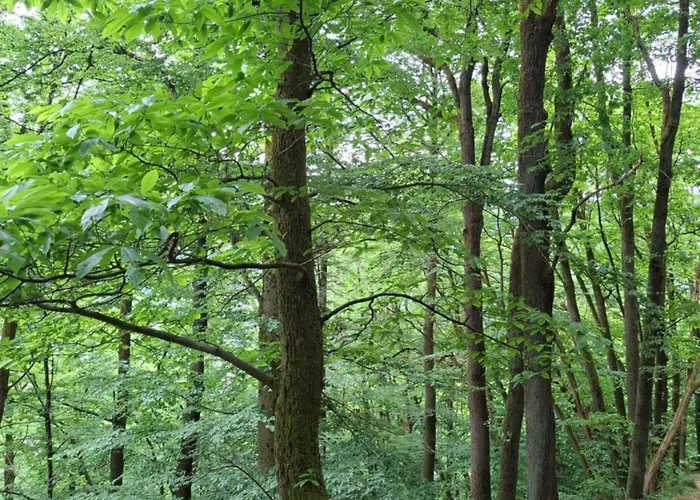 Auszeit Wunschblick Διαμέρισμα *