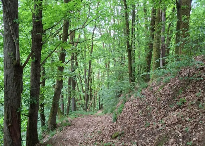 Auszeit Wunschblick * Weisenbach