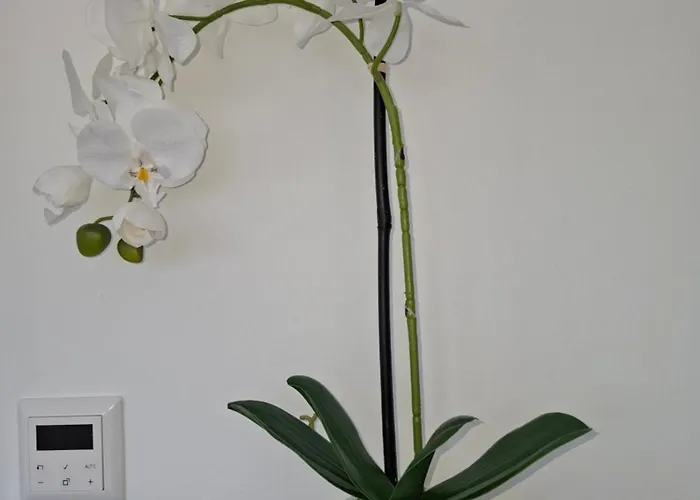 アパート Auszeit Wunschblick Weisenbach