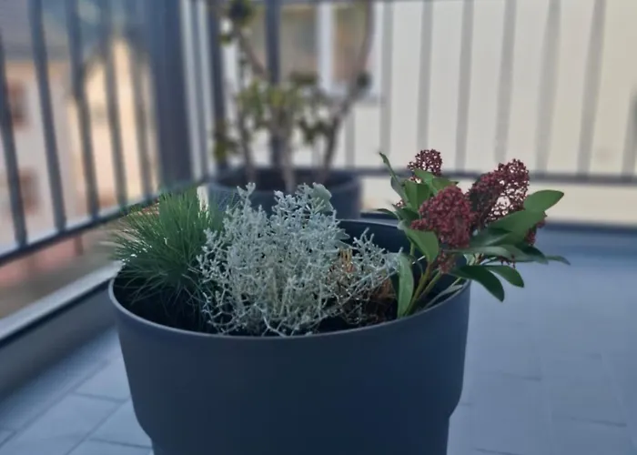 Auszeit Wunschblick アパート *